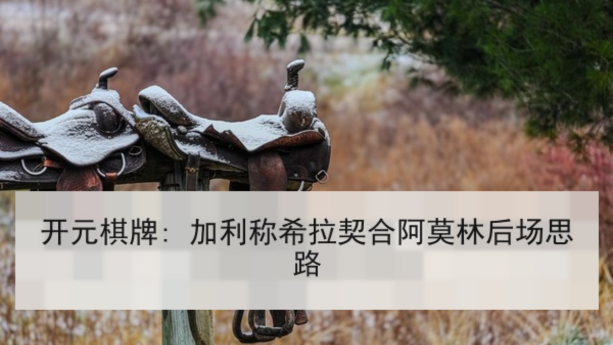 开元棋牌: 加利称希拉契合阿莫林后场思路